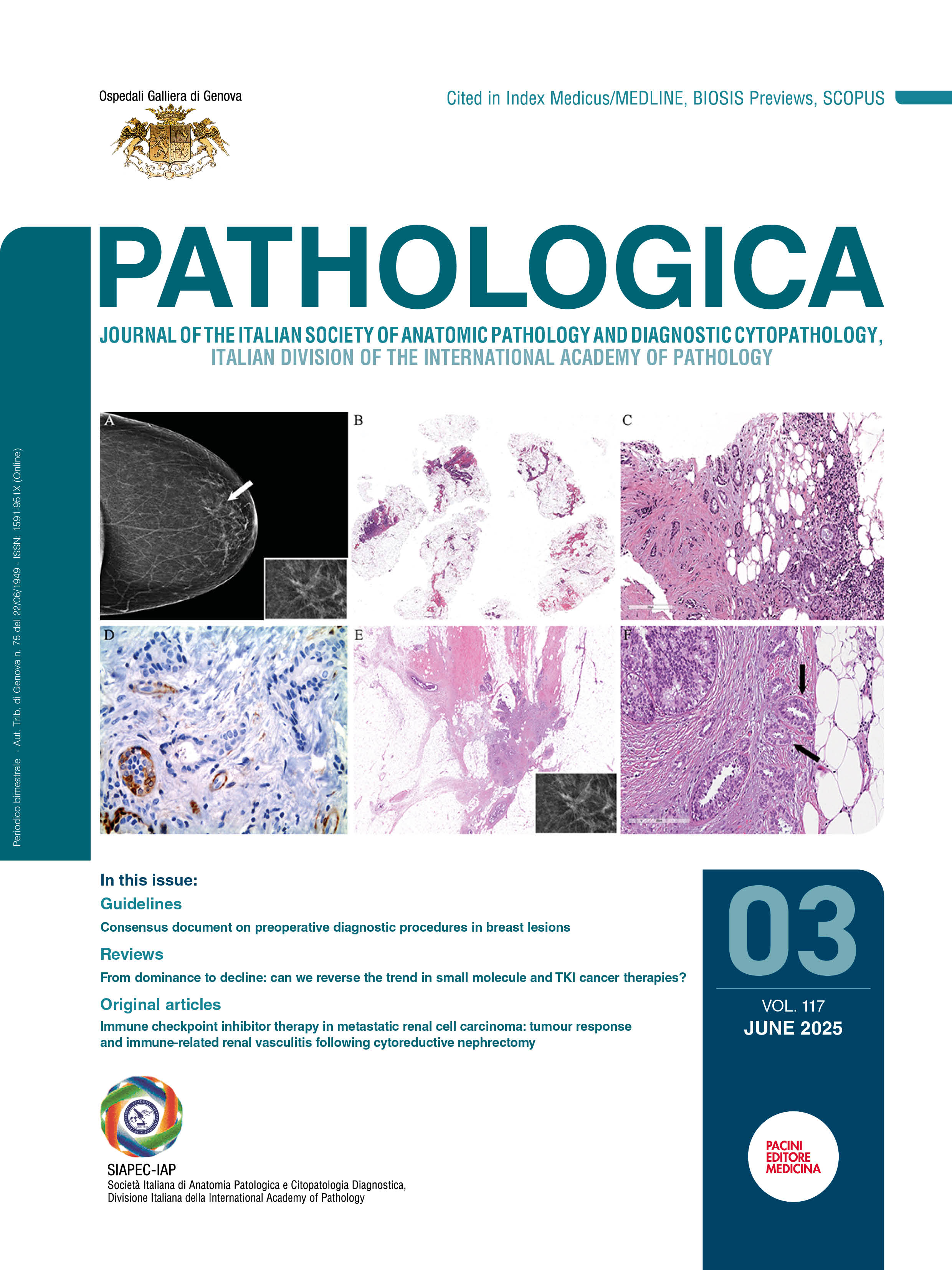 Issue 3 - June 2025
