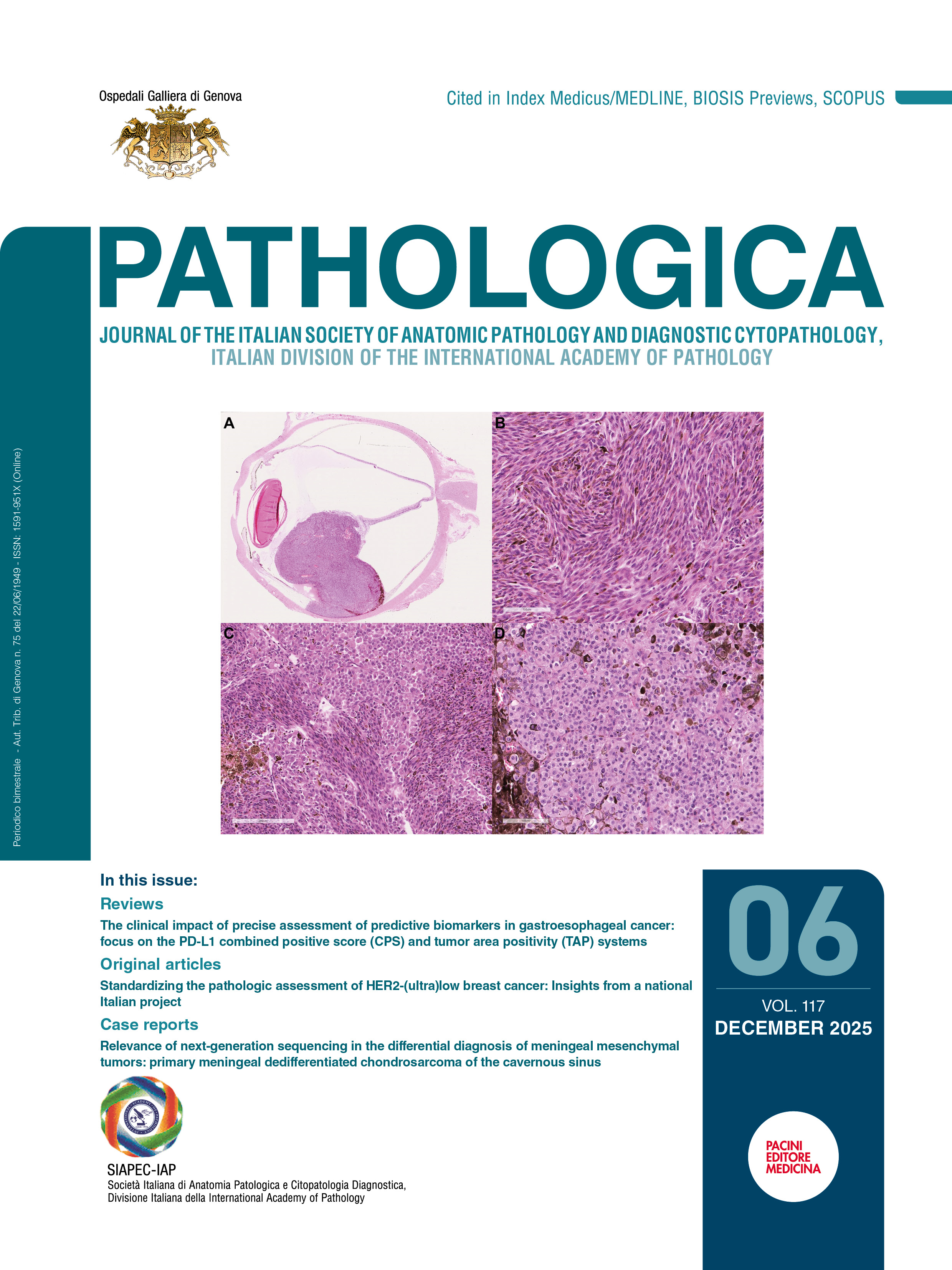 Issue 6 - December 2025