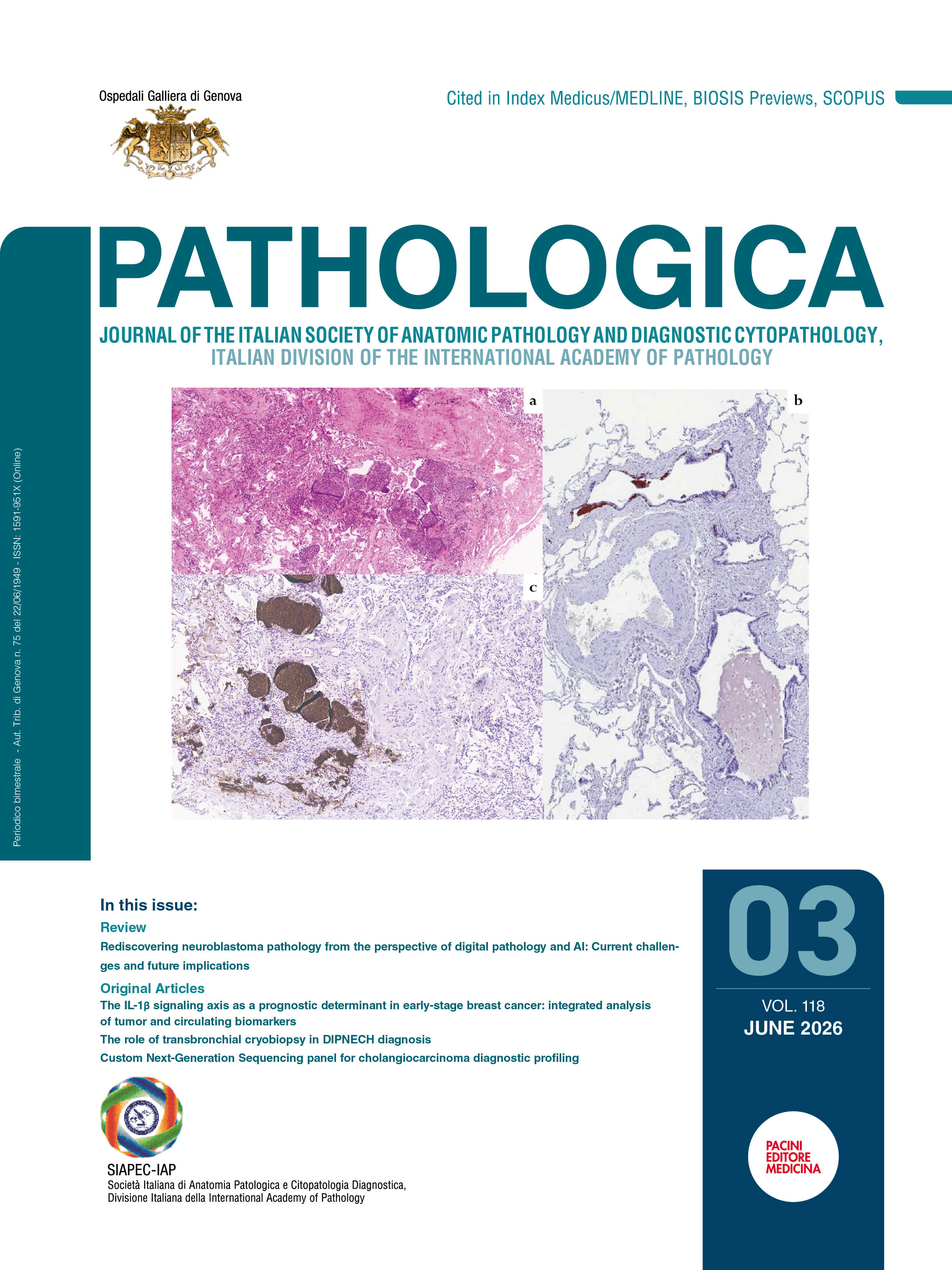 Issue 3 - June 2026